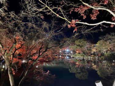 永観堂（禅林寺） | 京都市・蹴上